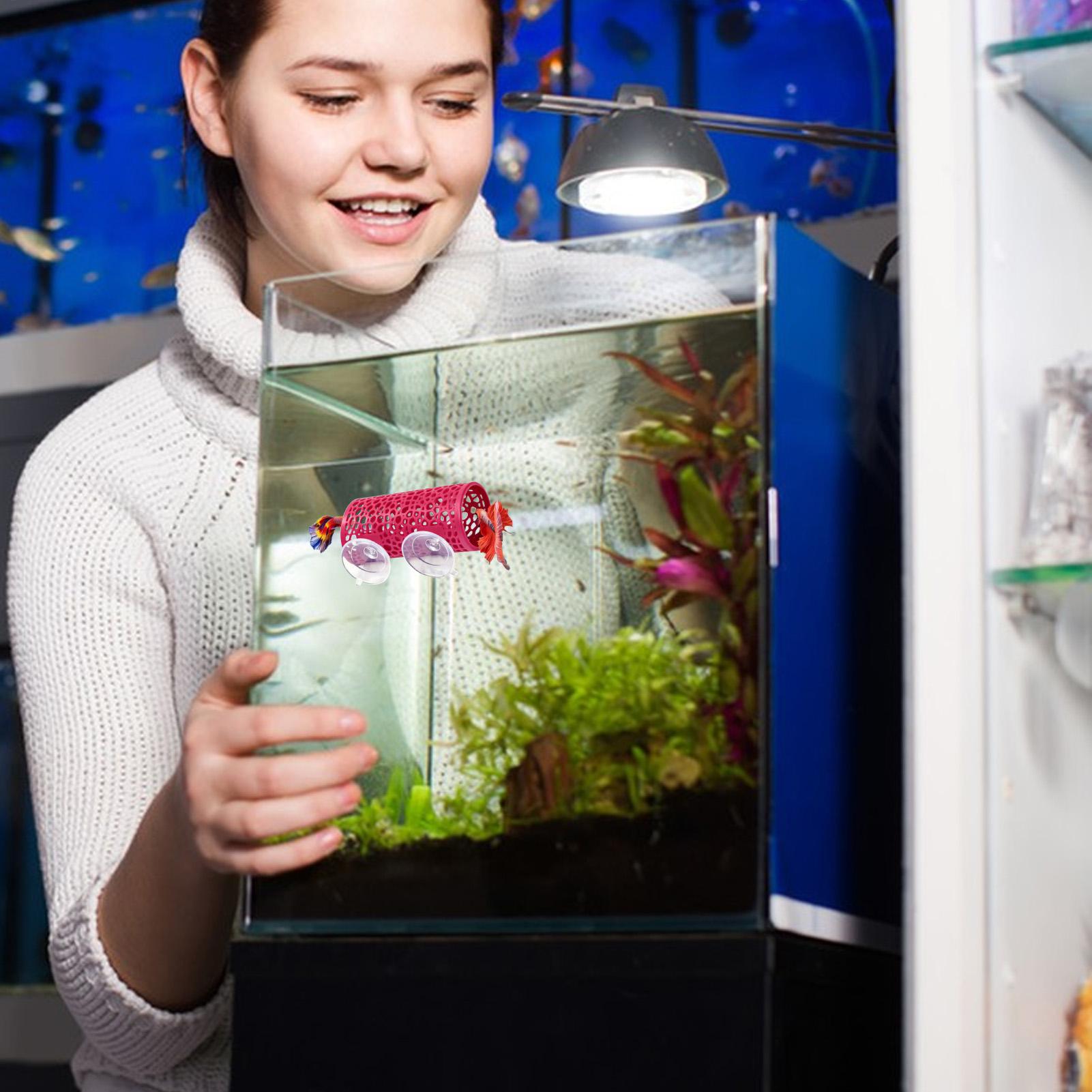 Aquarium Fish Betta - Tempat Persembunyian Ikan Betta, Ornamen Terowongan