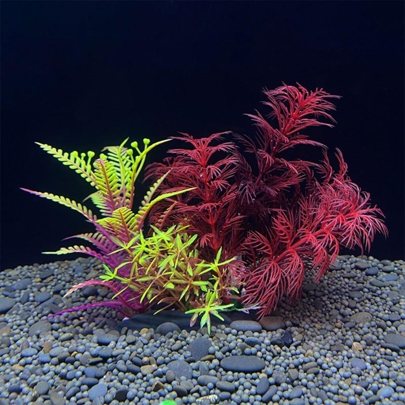 Aquarium Fish For Sale - Tanaman Dekorasi Akuarium Buatan Dekorasi Ikan