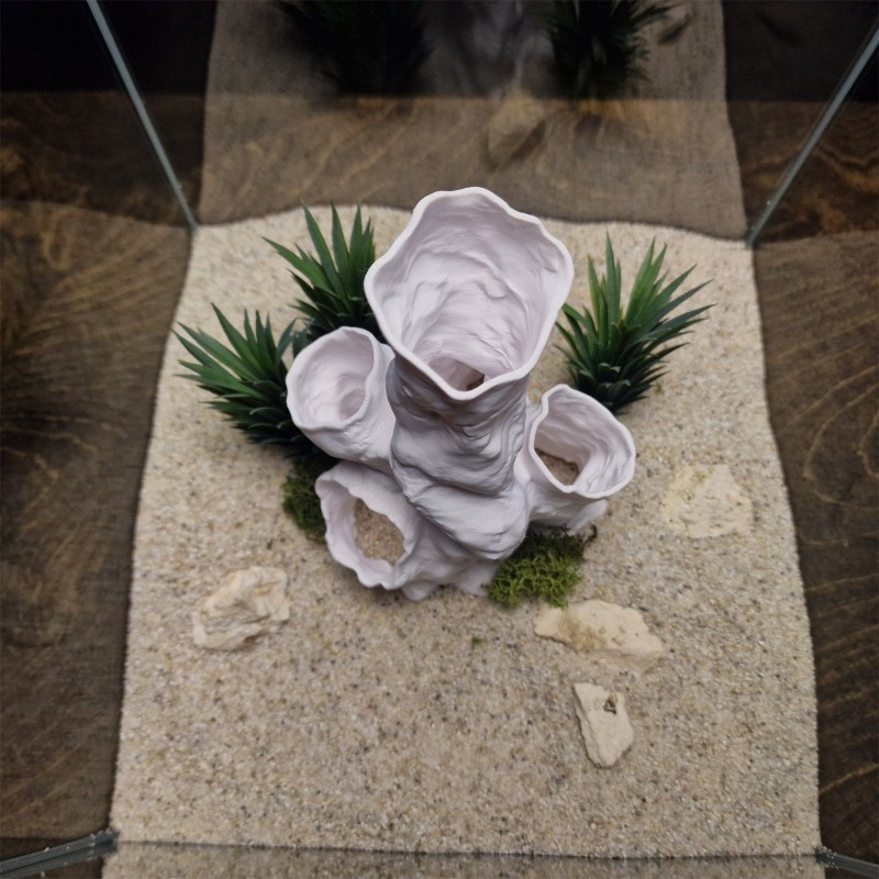 Aquarium Fish For Sale - Promo Terbatas Terarium Hias 3D Cetak