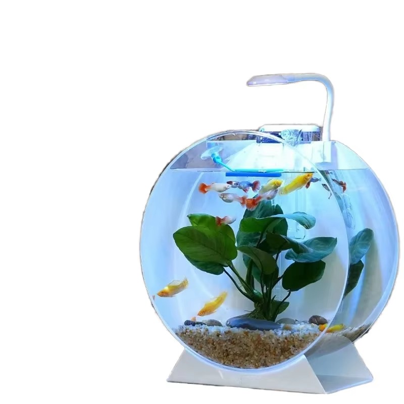 Aquarium Fish For Sale - Akuarium Akrilik Modern Ramah Lingkungan Multi-Ukuran