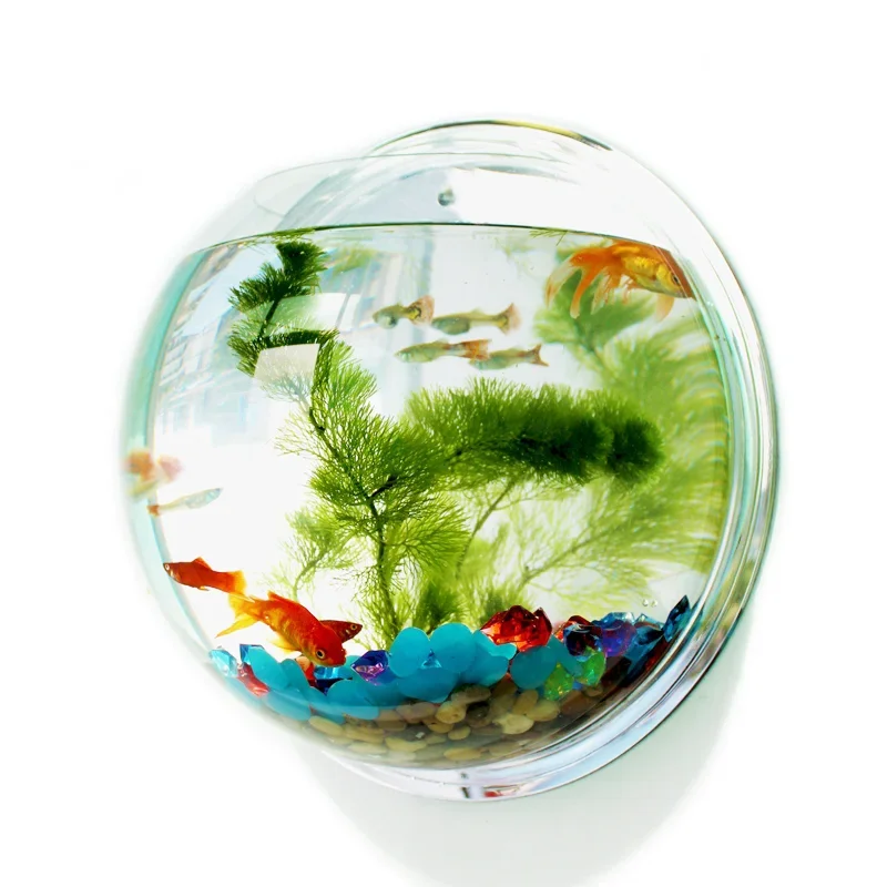 Aquarium Fish Betta - Pinsjar Akrilik Mangkuk Ikan Hiasan Dinding