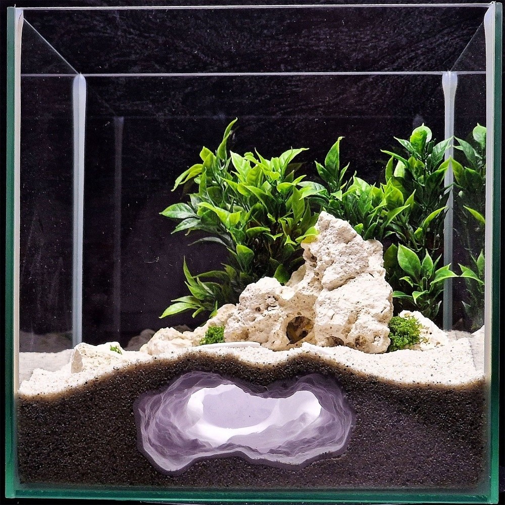 Aquarium Fish Cave - Akuarium Ikan Simulasi Tinggi dengan Lanskap