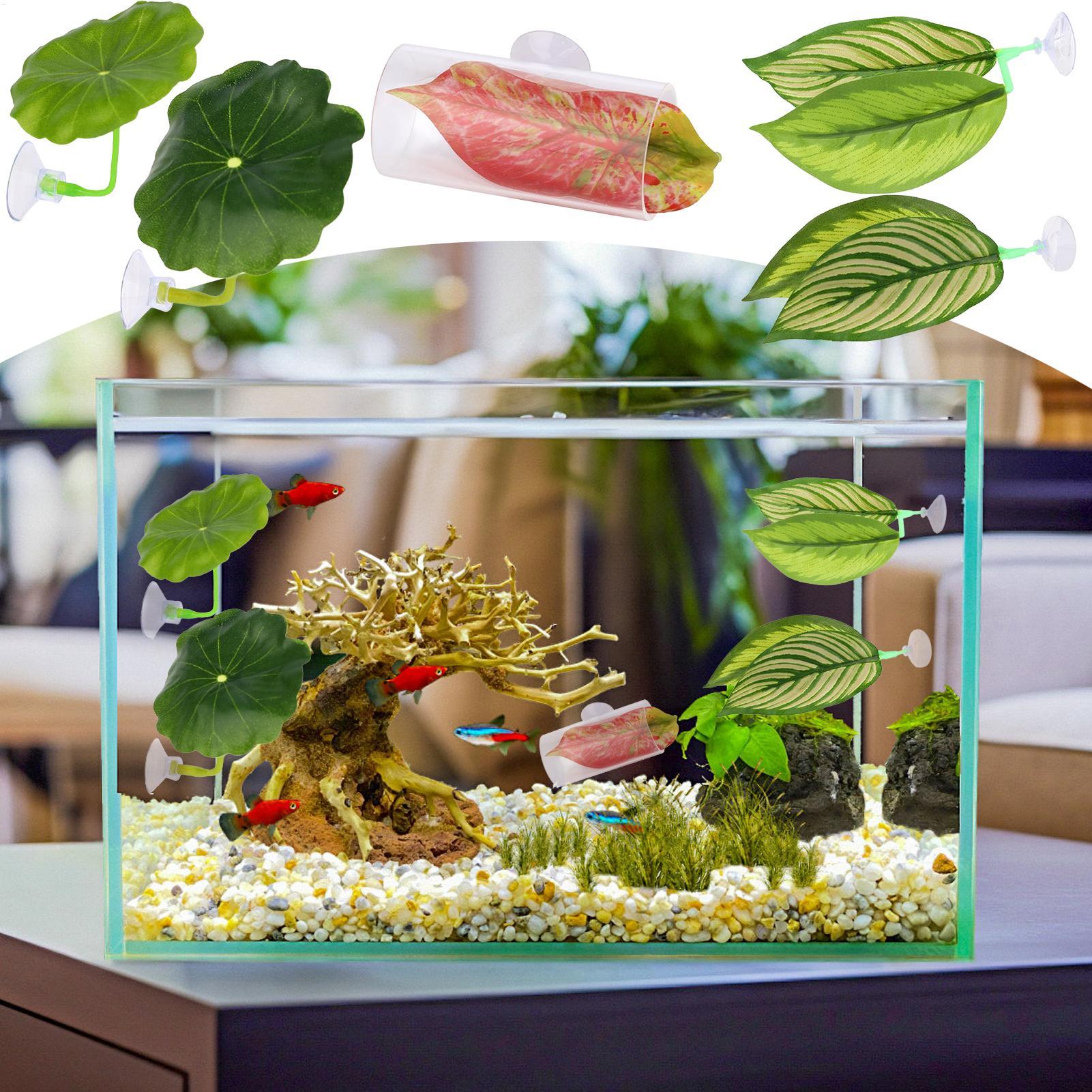 Aquarium Fish Betta - Tempat Tidur Gantung Ikan Betta 5