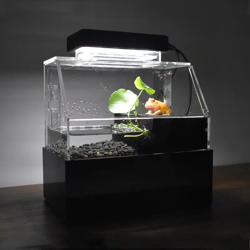 Aquarium Fish For Sale - Akuarium Meja Kustom Relaxlines, Mini Mewah,