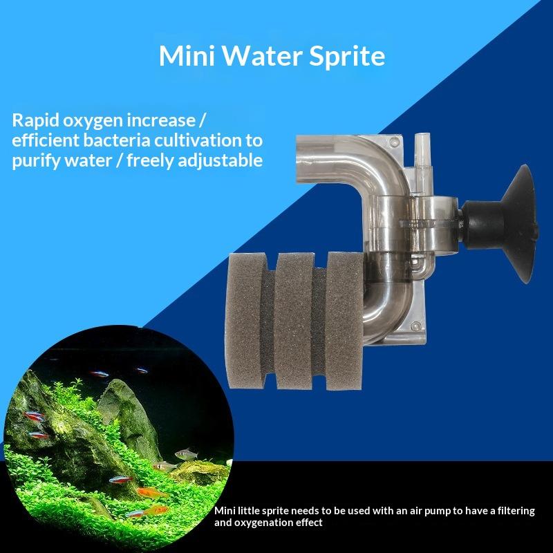 Penjualan Panas - Filter Spons - Aquarium Fish For Sale ulasan dan harga