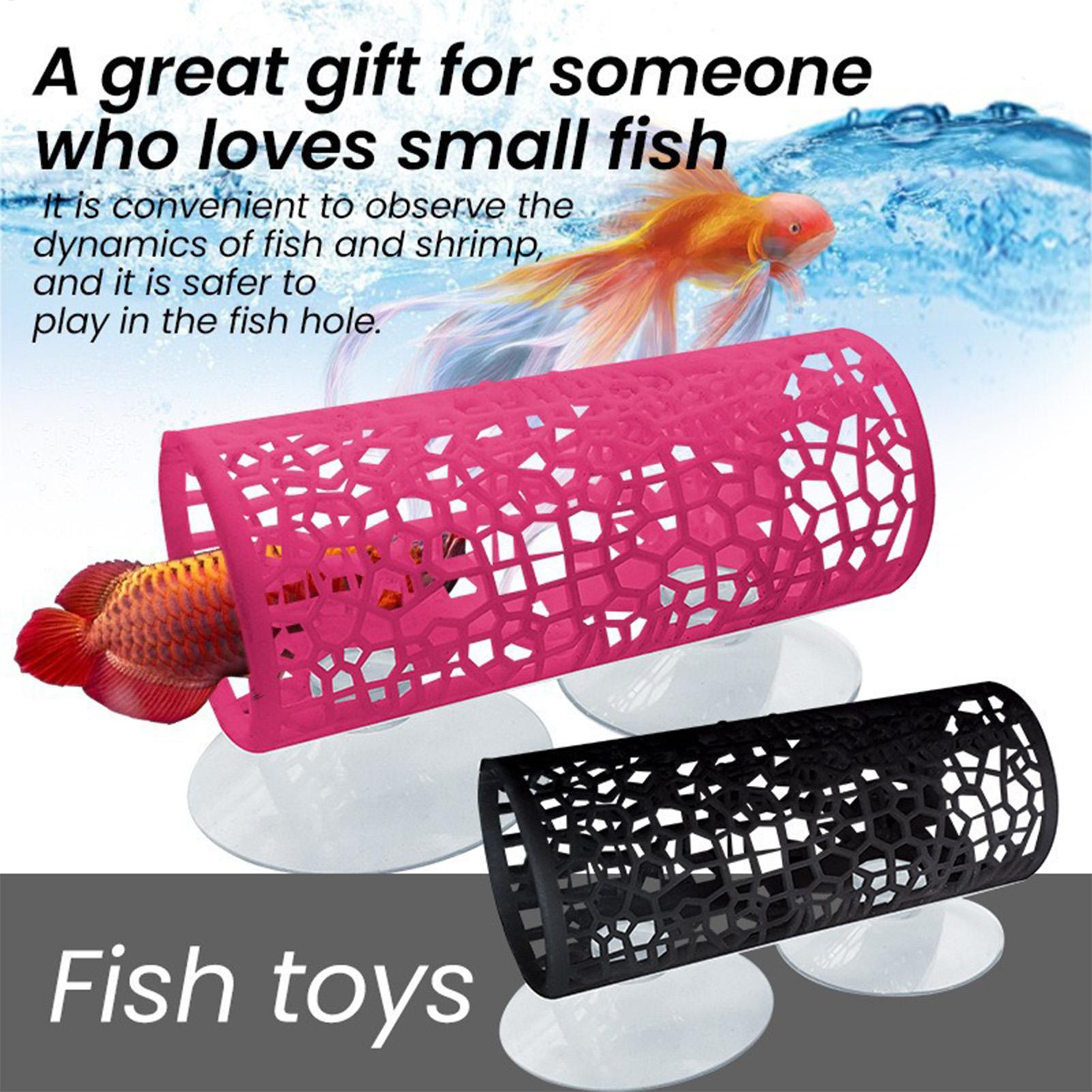 Tempat Persembunyian Ikan Bett - Aquarium Fish Betta ulasan dan harga