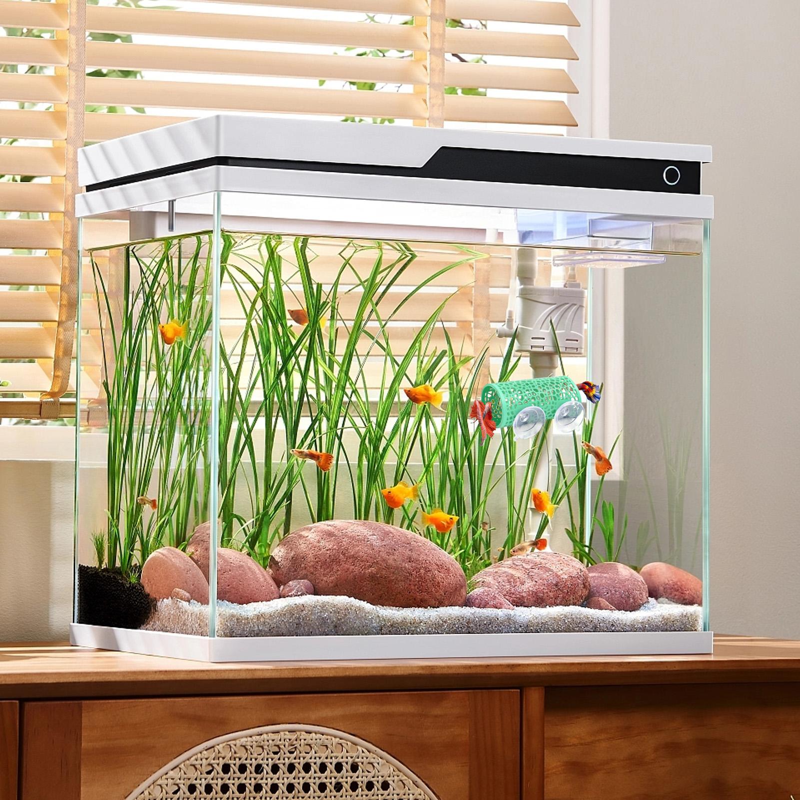 Tempat Persembunyian Ikan Bett - Aquarium Fish Betta ulasan dan harga