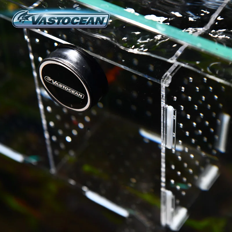 Tangki Ikan VASTOCEAN Kotak Is - Aquarium Fish Cave ulasan dan harga
