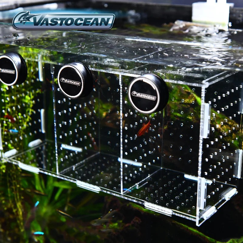 Tangki Ikan VASTOCEAN Kotak Is - Aquarium Fish Cave ulasan dan harga