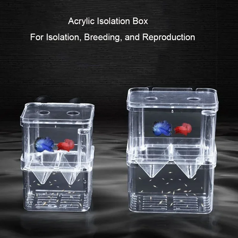 Aksesoris akuarium kotak isola - Aquarium Fish Cave ulasan dan harga