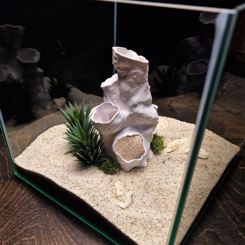 Promo Terbatas Terarium Hias 3 - Aquarium Fish For Sale ulasan dan harga