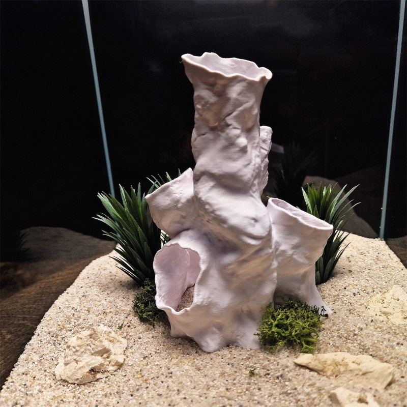 Promo Terbatas Terarium Hias 3 - Aquarium Fish For Sale ulasan dan harga