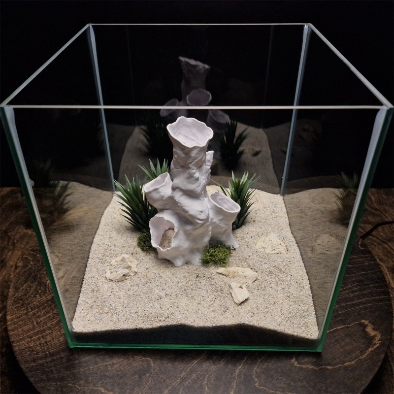 Promo Terbatas Terarium Hias 3 - Aquarium Fish For Sale ulasan dan harga