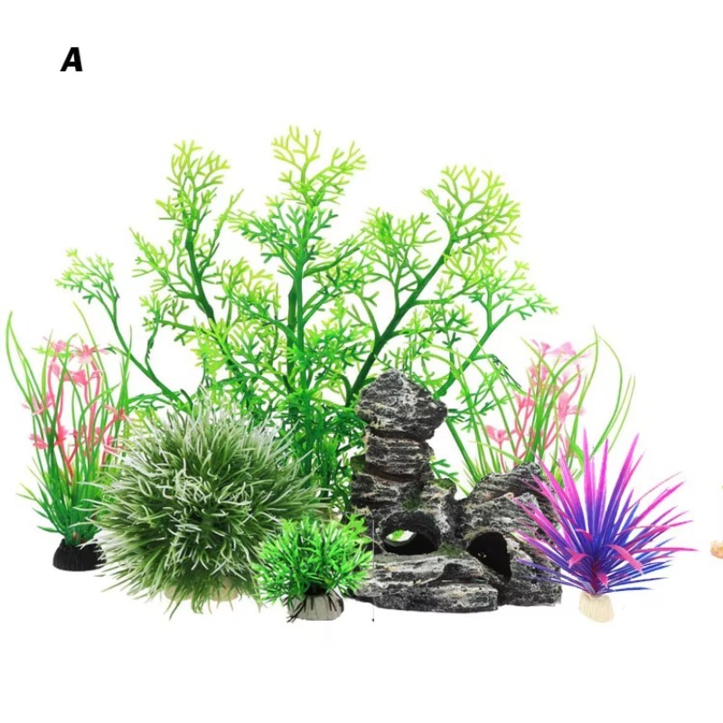 10pcs Penjualan Terlaris Produ - Aquarium Fish For Sale ulasan dan harga