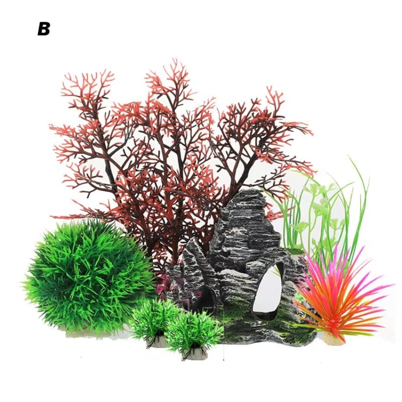 10pcs Penjualan Terlaris Produ - Aquarium Fish For Sale ulasan dan harga