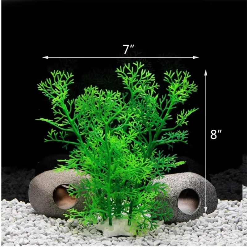 10pcs Penjualan Terlaris Produ - Aquarium Fish For Sale ulasan dan harga