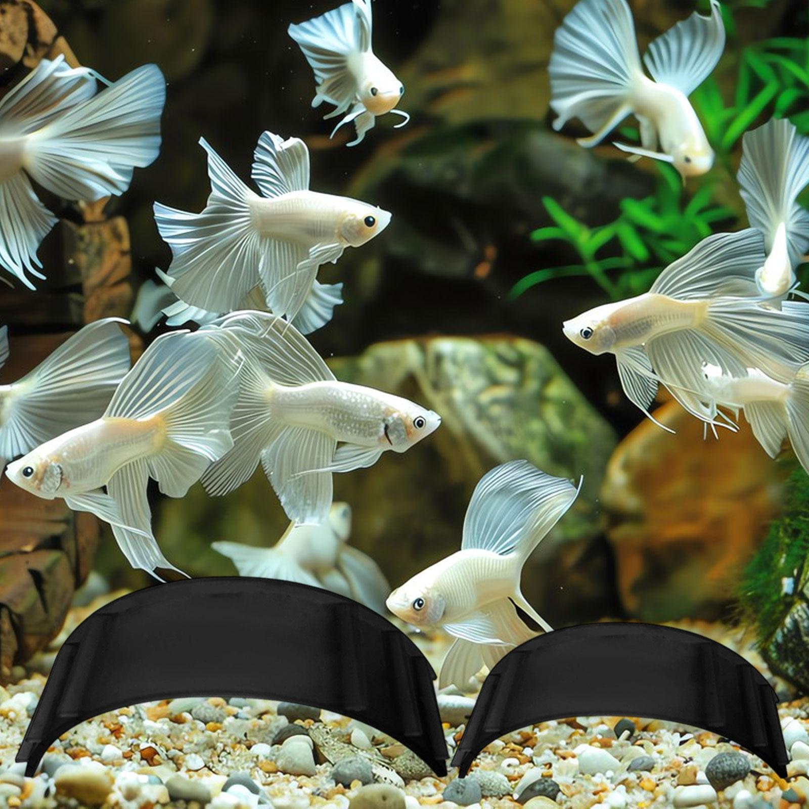 2 Buah Gua Terowongan Bawah Ta - Aquarium Fish Cave ulasan dan harga