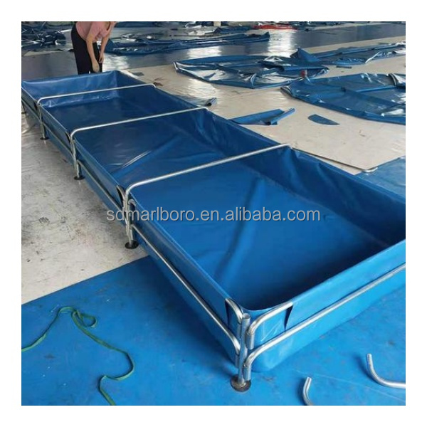 AIROW Tangki Ikan Akuarium Per - Aquarium Fish For Sale ulasan dan harga