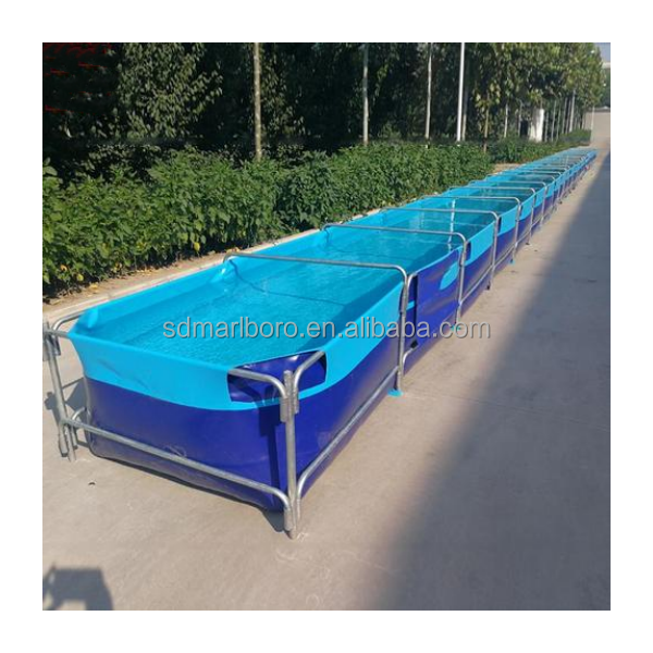 AIROW Tangki Ikan Akuarium Per - Aquarium Fish For Sale ulasan dan harga