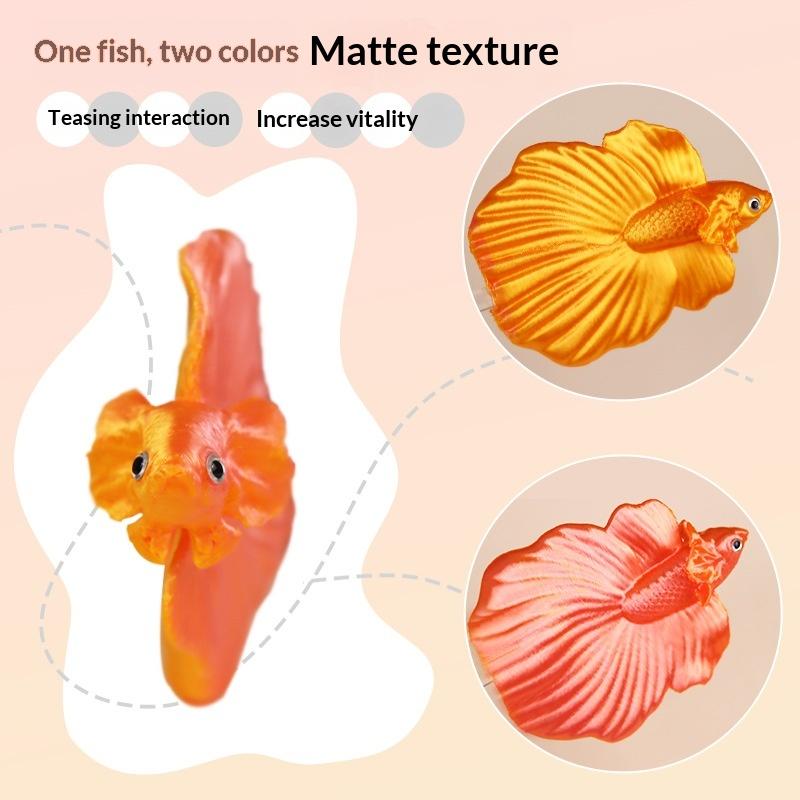 【CC】 Tongkat Latihan Ikan Cupa - Aquarium Fish Betta ulasan dan harga
