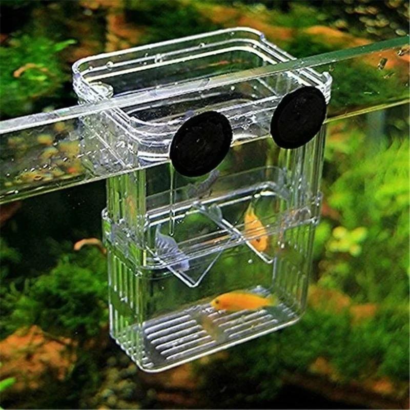 Kotak Isolasi Pembiakan Jernih - Aquarium Fish Cave ulasan dan harga