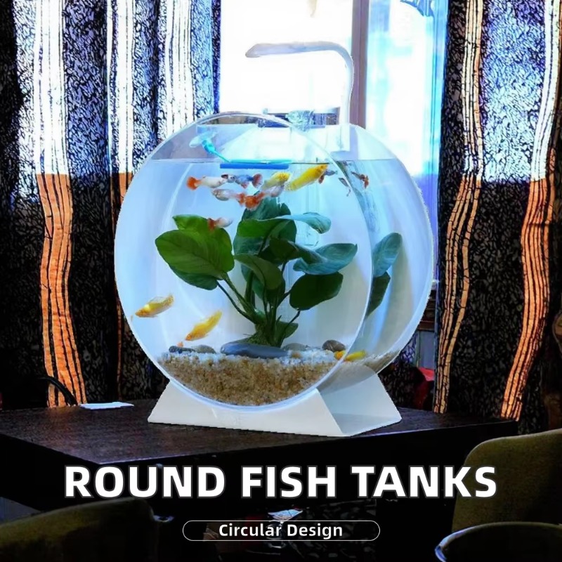 Akuarium Akrilik Modern Ramah  - Aquarium Fish For Sale ulasan dan harga