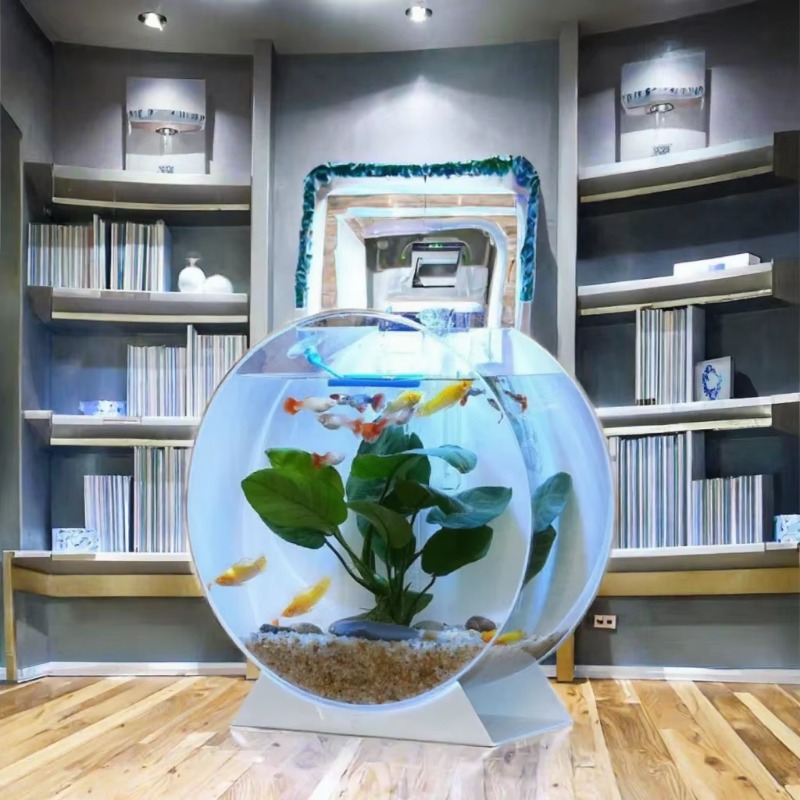 Akuarium Akrilik Modern Ramah  - Aquarium Fish For Sale ulasan dan harga