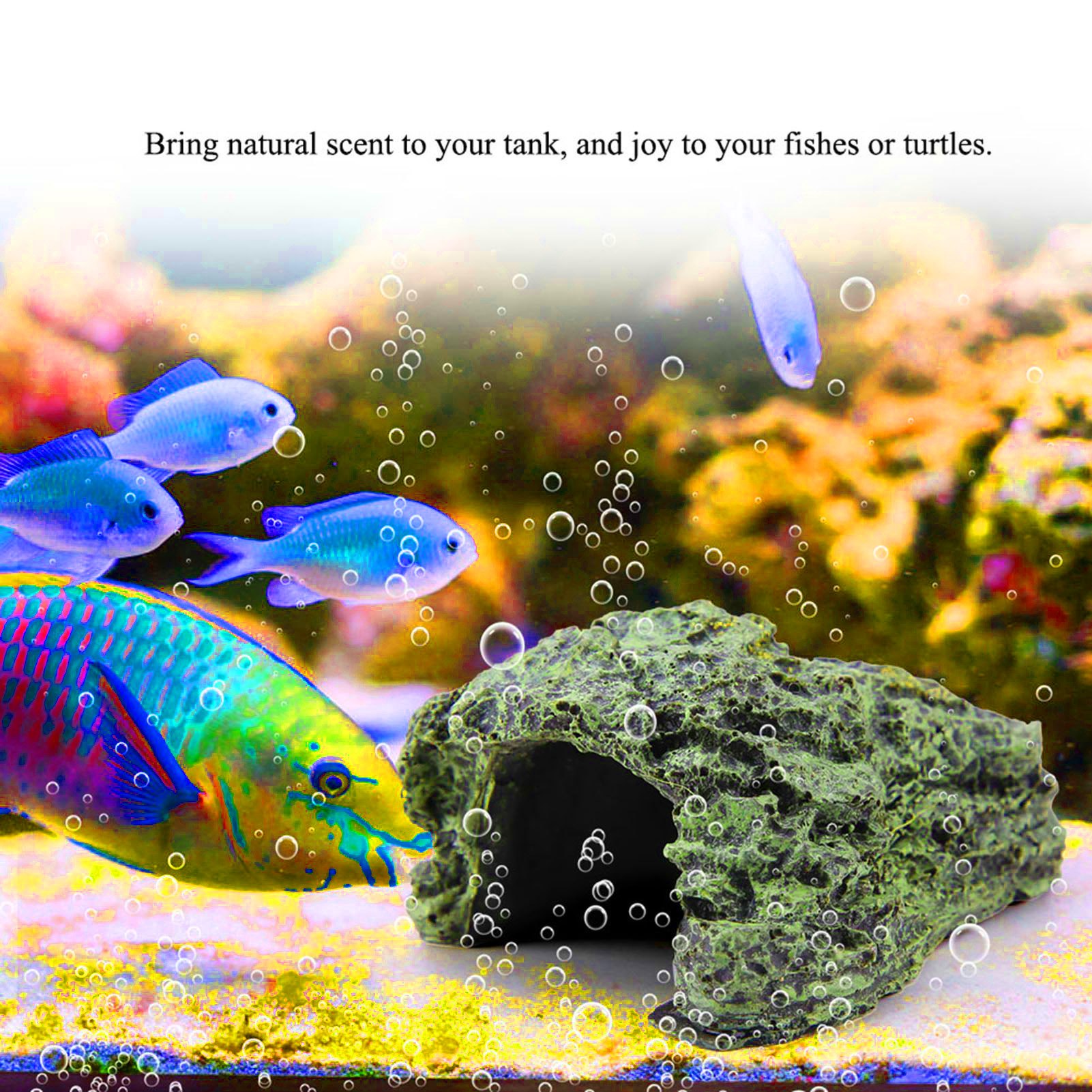 Gua Persembunyian Reptil, Temp - Aquarium Fish Cave ulasan dan harga