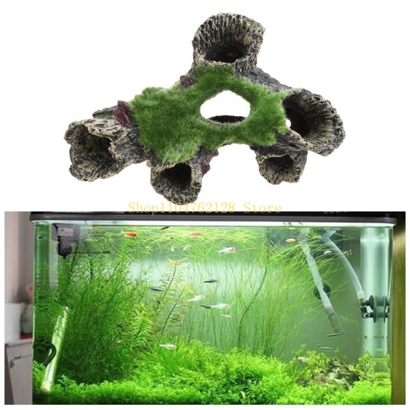 untuk Dekorasi Tangki Akuarium - Aquarium Fish For Sale ulasan dan harga