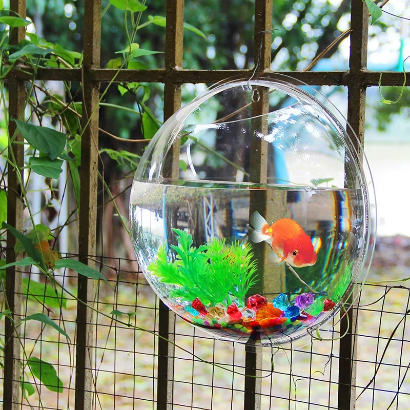 Pinsjar Akrilik Mangkuk Ikan H - Aquarium Fish Betta ulasan dan harga