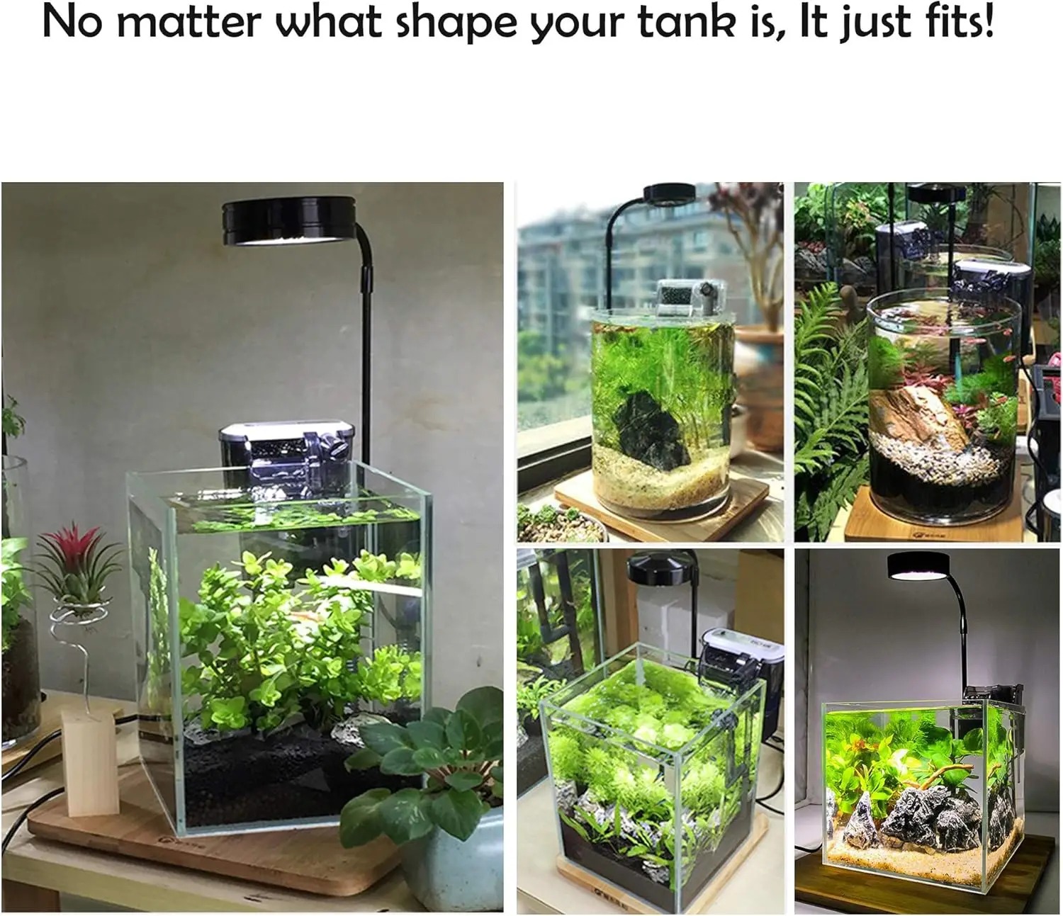 Lampu Tumbuh Akuarium LED deng - Aquarium Fish Betta ulasan dan harga