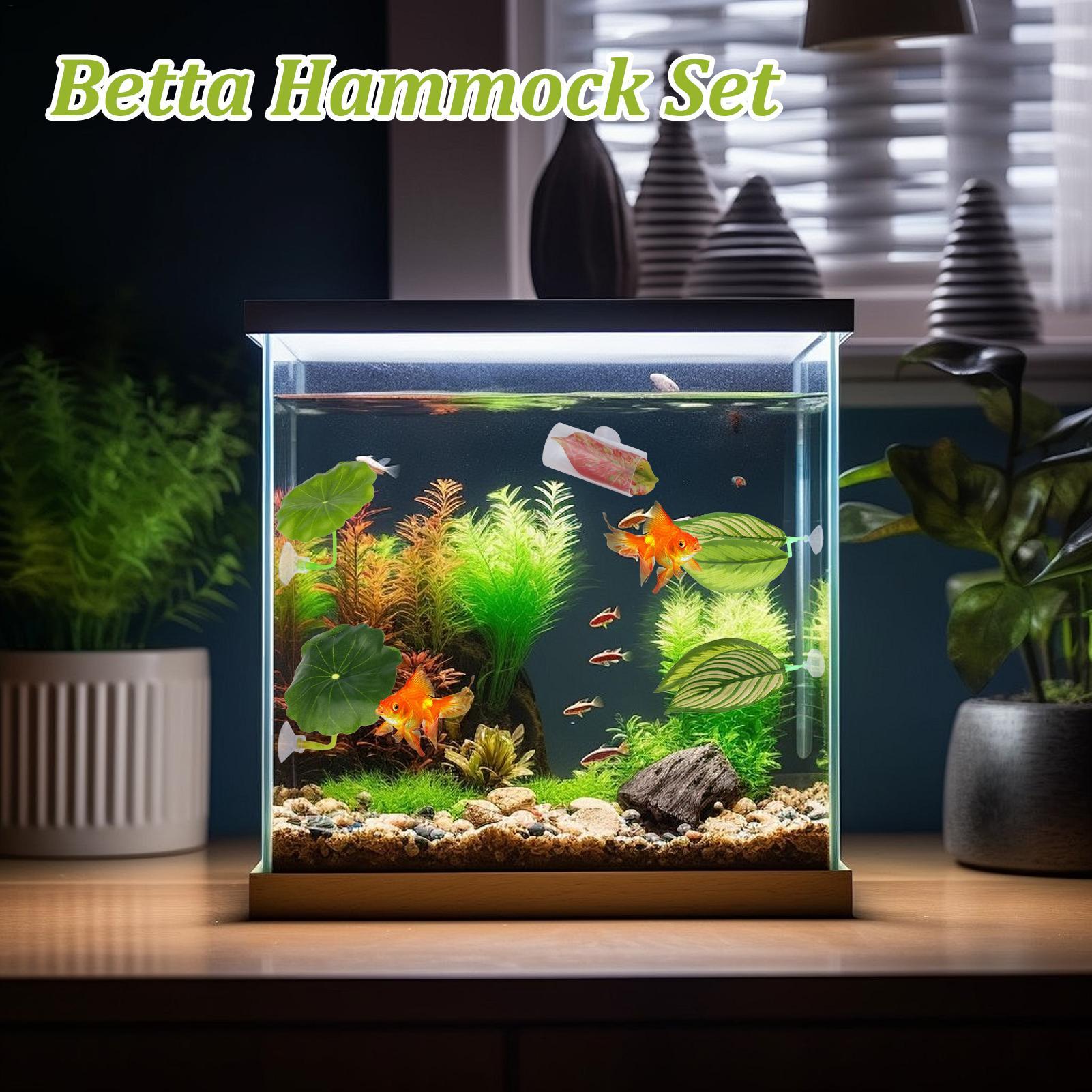 Tempat Tidur Gantung Ikan Bett - Aquarium Fish Betta ulasan dan harga