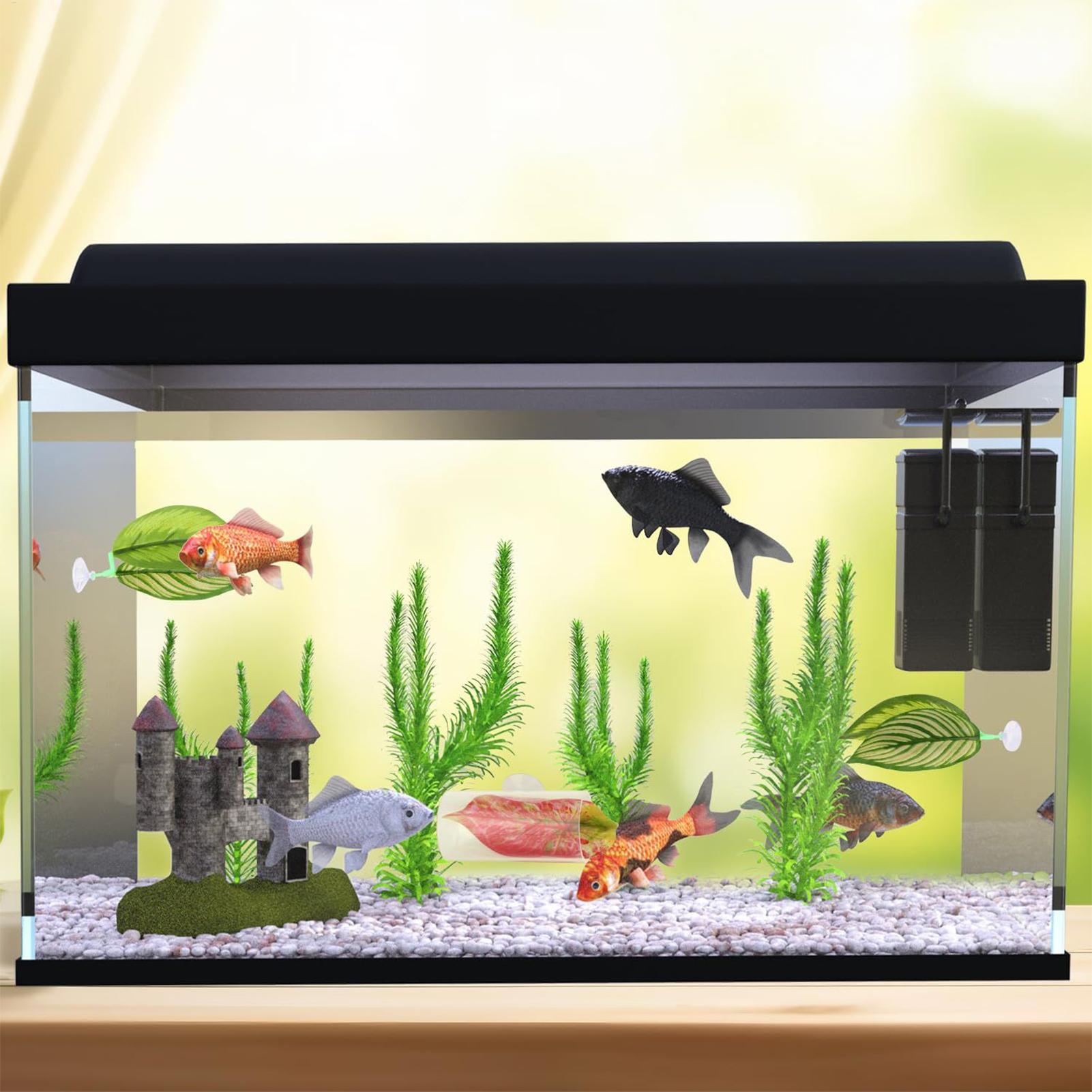 Tempat Tidur Gantung Ikan Bett - Aquarium Fish Betta ulasan dan harga