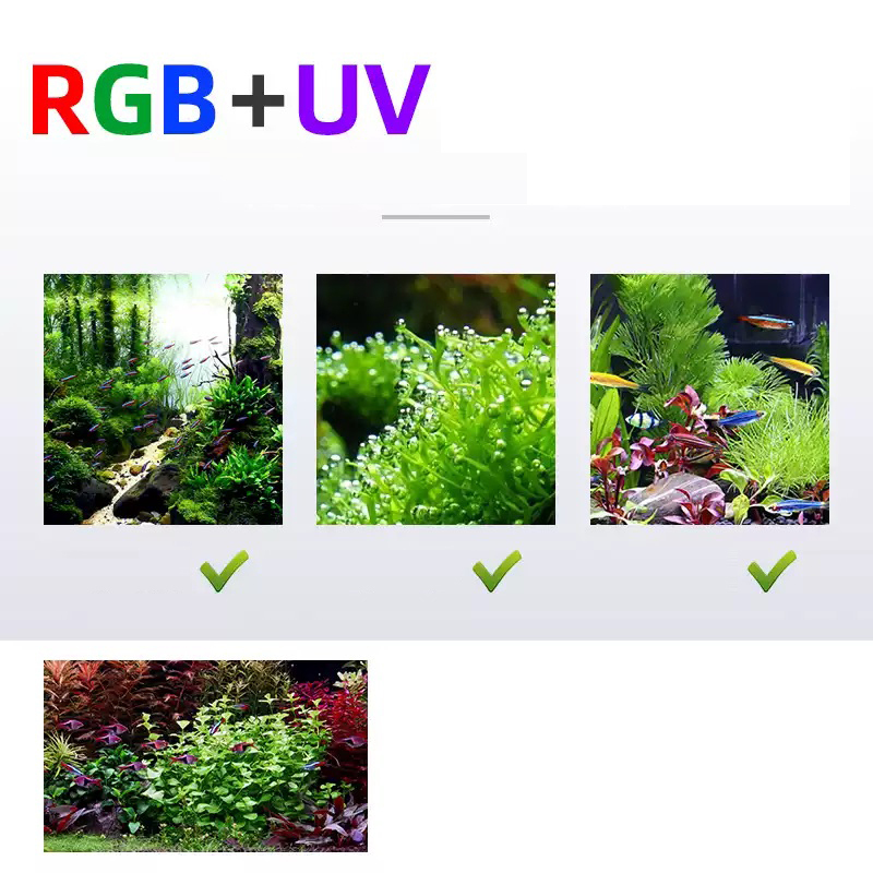 Lampu LED 60cm 80cm 90cm RGB U - Aquarium Fish For Sale ulasan dan harga