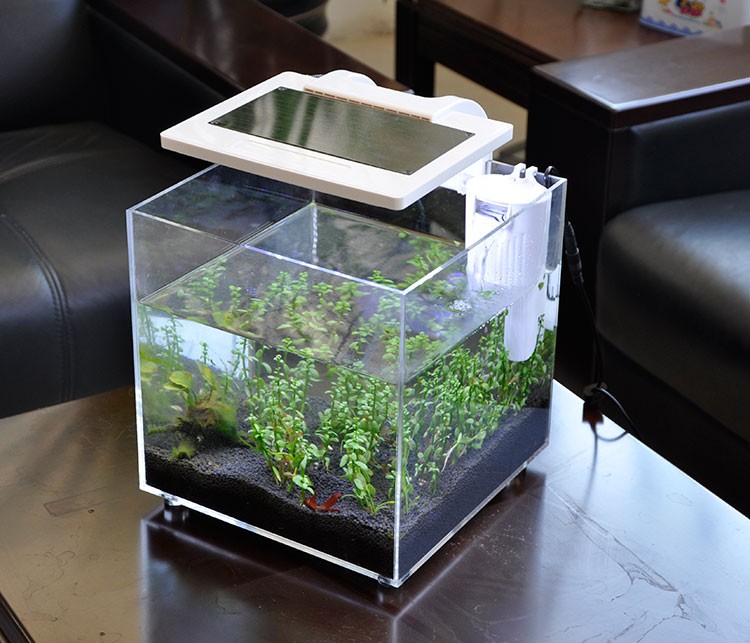 Akuarium Mini Akrilik (25*25*2 - Aquarium Fish For Sale ulasan dan harga