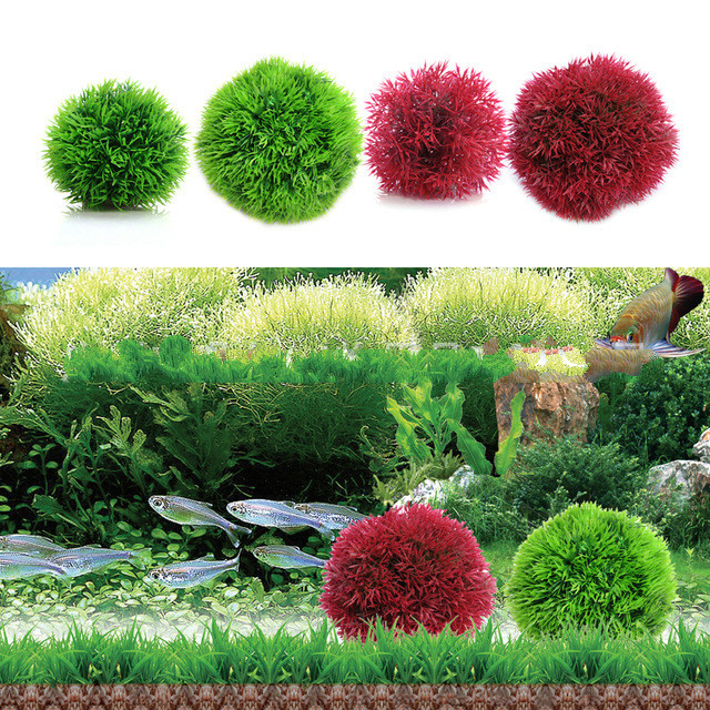 Simulasi Rumput bola Ornamen T - Aquarium Fish Ball ulasan dan harga