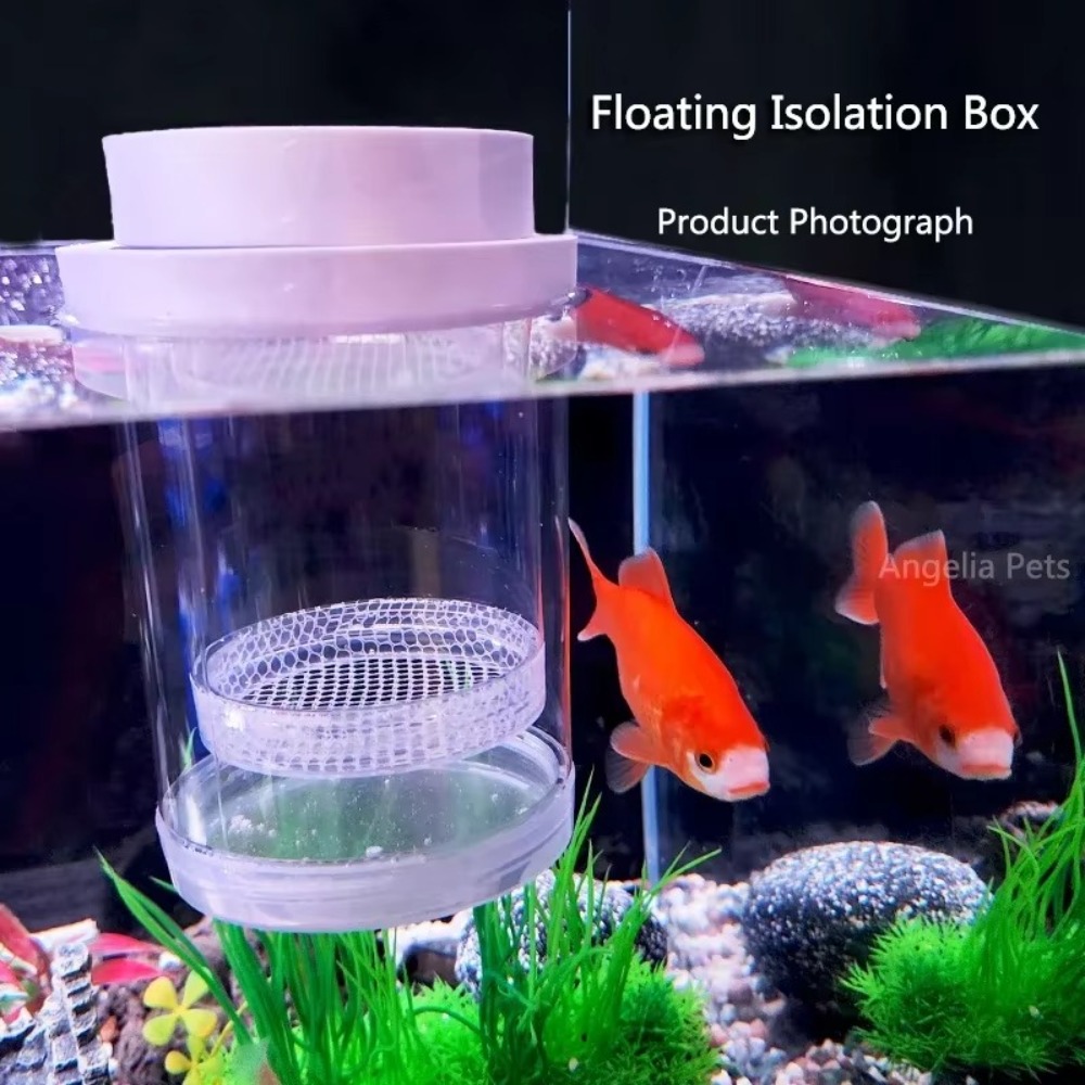 Kotak Isolasi Pembiakan Ikan M - Aquarium Fish Cave ulasan dan harga