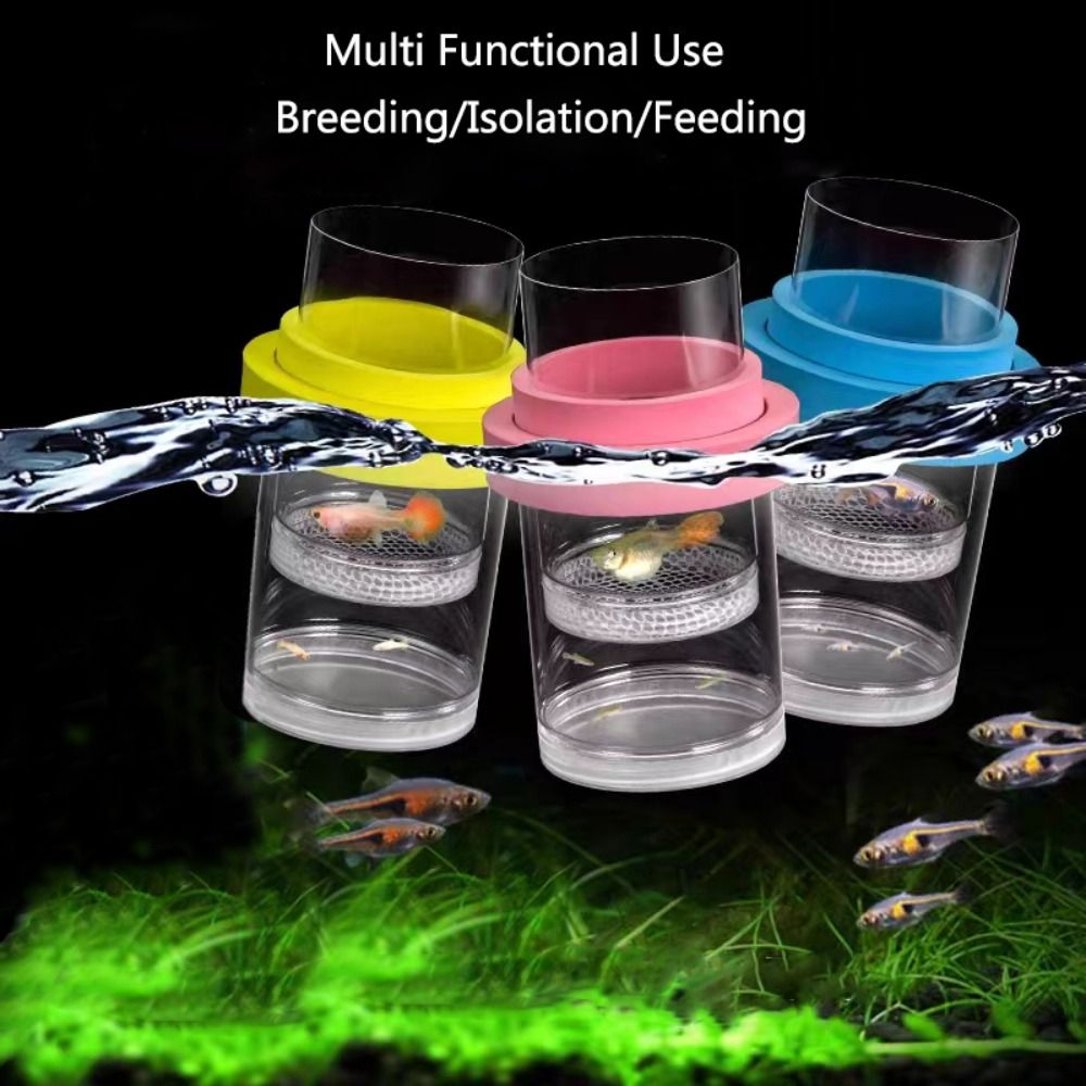 Kotak Isolasi Pembiakan Ikan M - Aquarium Fish Cave ulasan dan harga