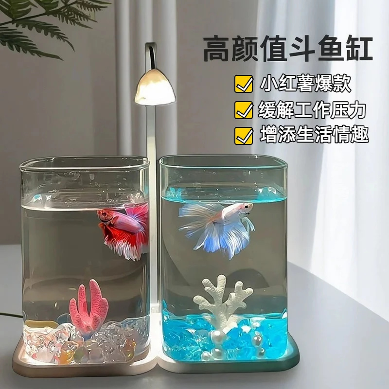 Akuarium Mini Ikan Cupang Kaca - Aquarium Fish Betta ulasan dan harga