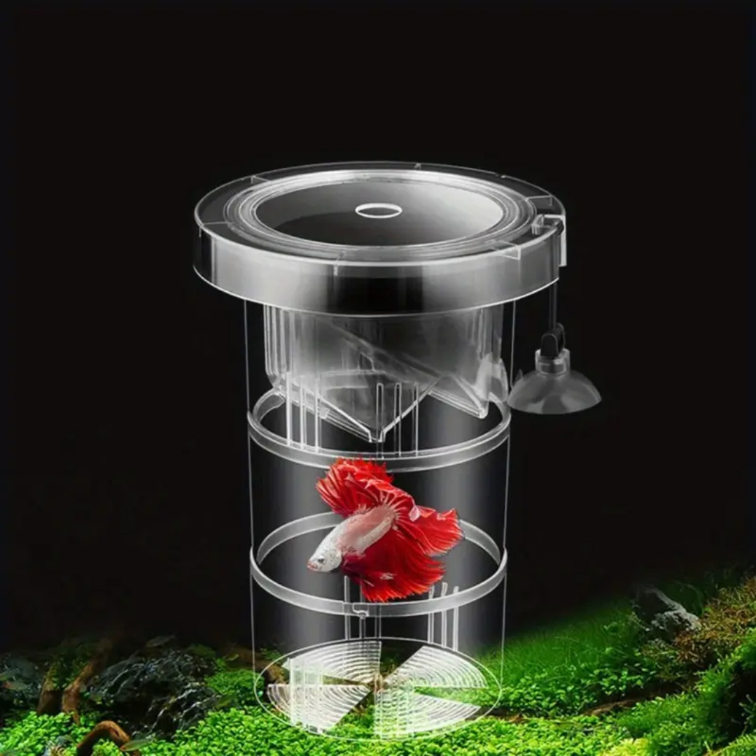 Kotak Isolasi Pembiakan Ikan A - Aquarium Fish Cave ulasan dan harga