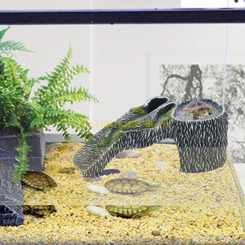 Terarium Platform Berjemur Tan - Aquarium Fish For Sale ulasan dan harga