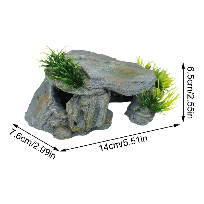 Gua Batu Reptil Alami, Tempat  - Aquarium Fish Cave ulasan dan harga