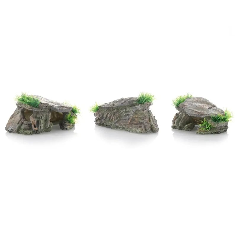 Gua Batu Reptil Alami, Tempat  - Aquarium Fish Cave ulasan dan harga