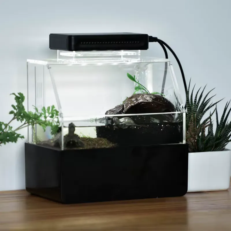 Akuarium Meja Kustom Relaxline - Aquarium Fish For Sale ulasan dan harga