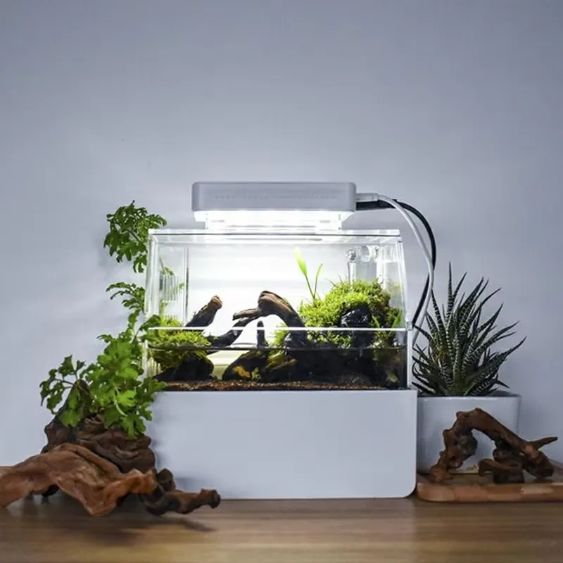Akuarium Meja Kustom Relaxline - Aquarium Fish For Sale ulasan dan harga